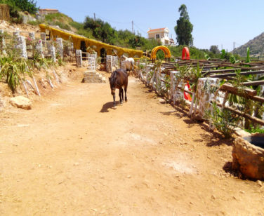 Hotel in Bali Crete - Stone Village - Farm Animals 10